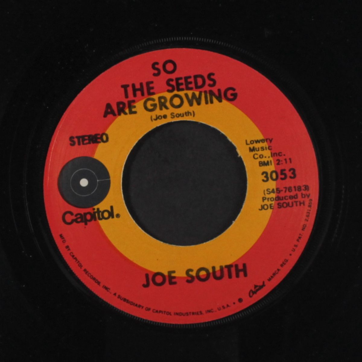united we stand / so the seeds are growing by JOE SOUTH