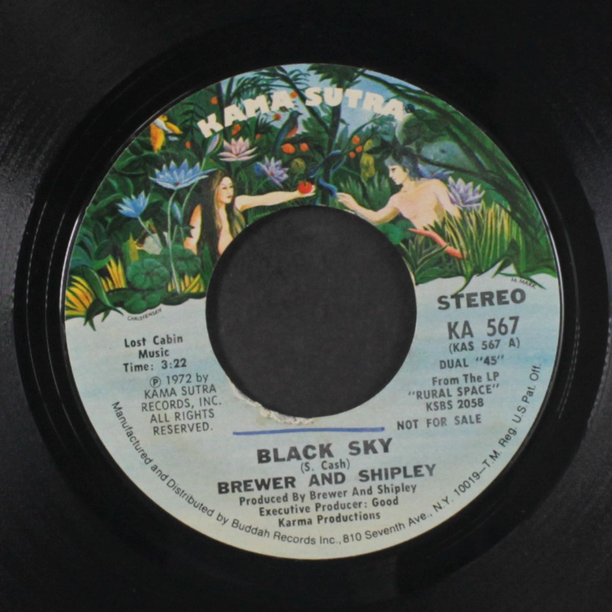 black sky / mono by BREWER & SHIPLEY