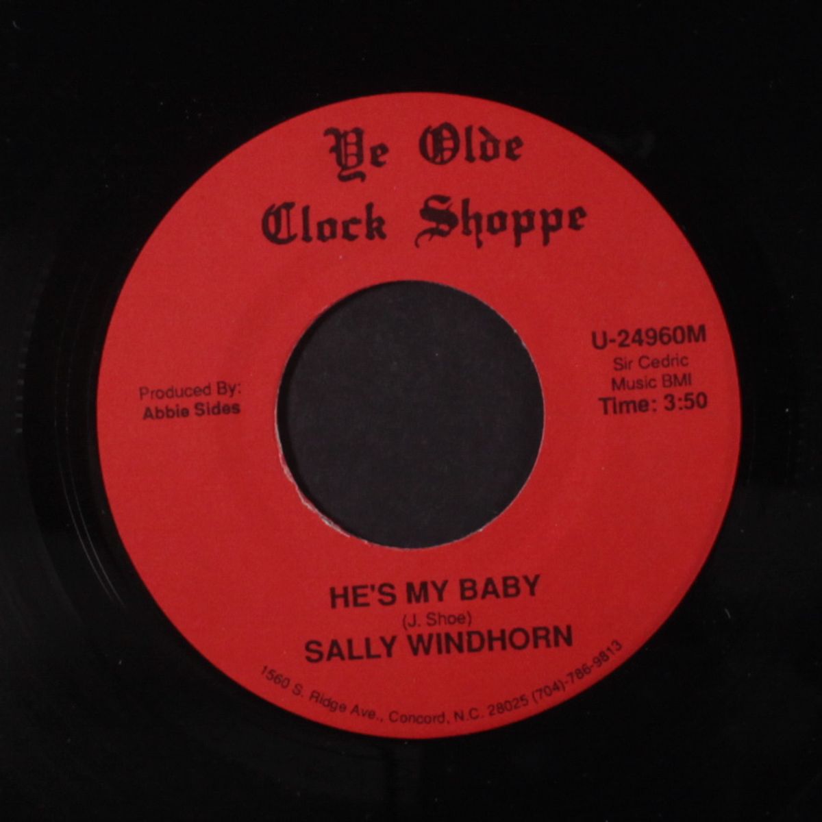 he's my baby / 29 ways by SALLY WINDHORN