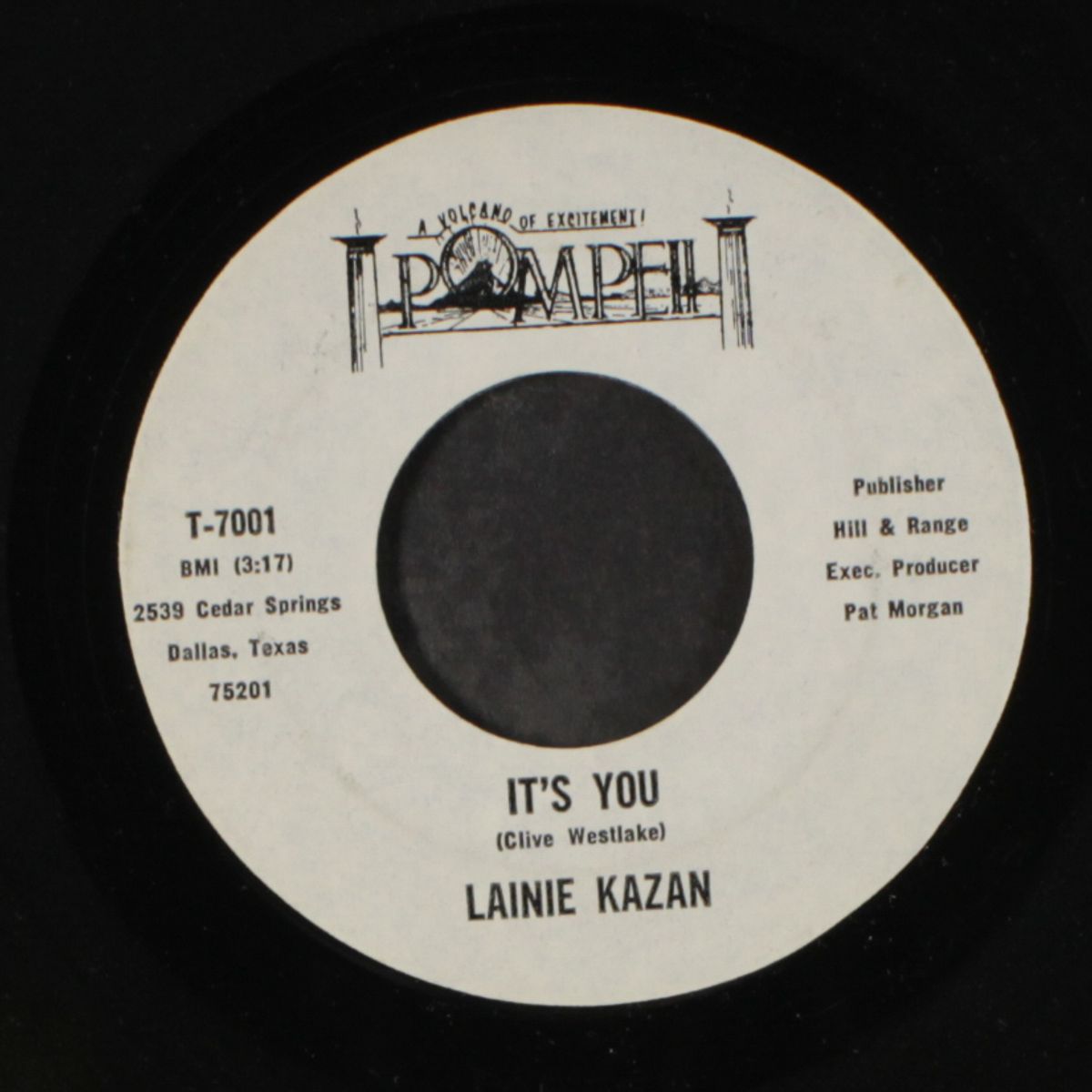 window of my mind / it's you by LAINIE KAZAN