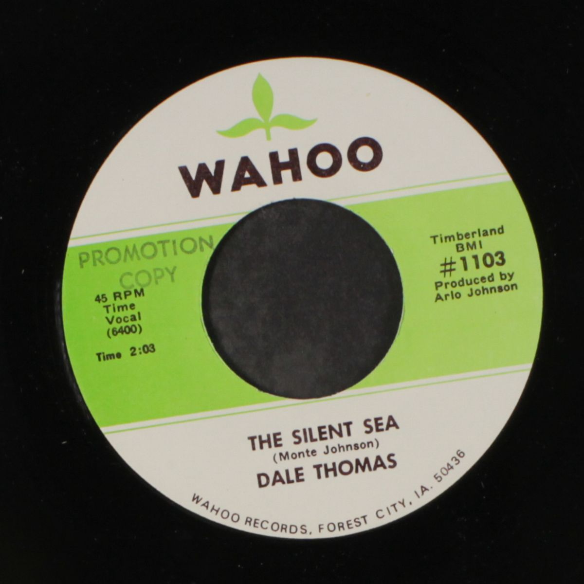 the silent sea / pity please by DALE THOMAS