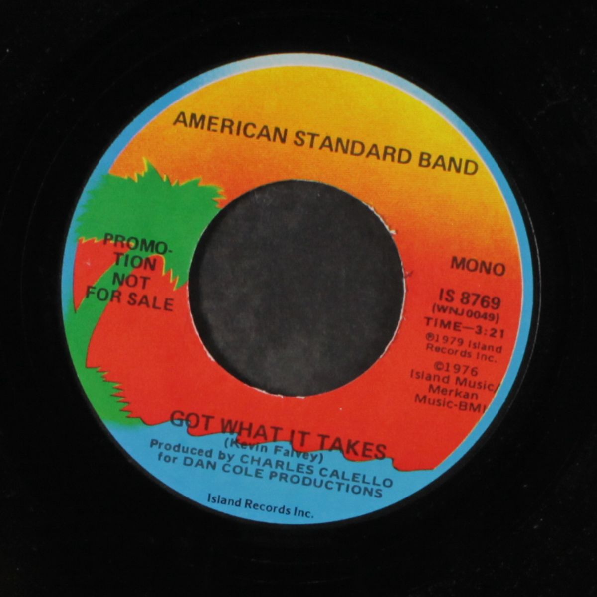 got what it takes / mono by AMERICAN STANDARD BAND