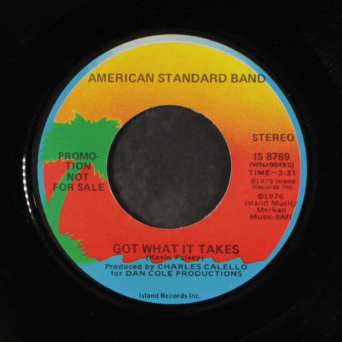AMERICAN STANDARD BAND
