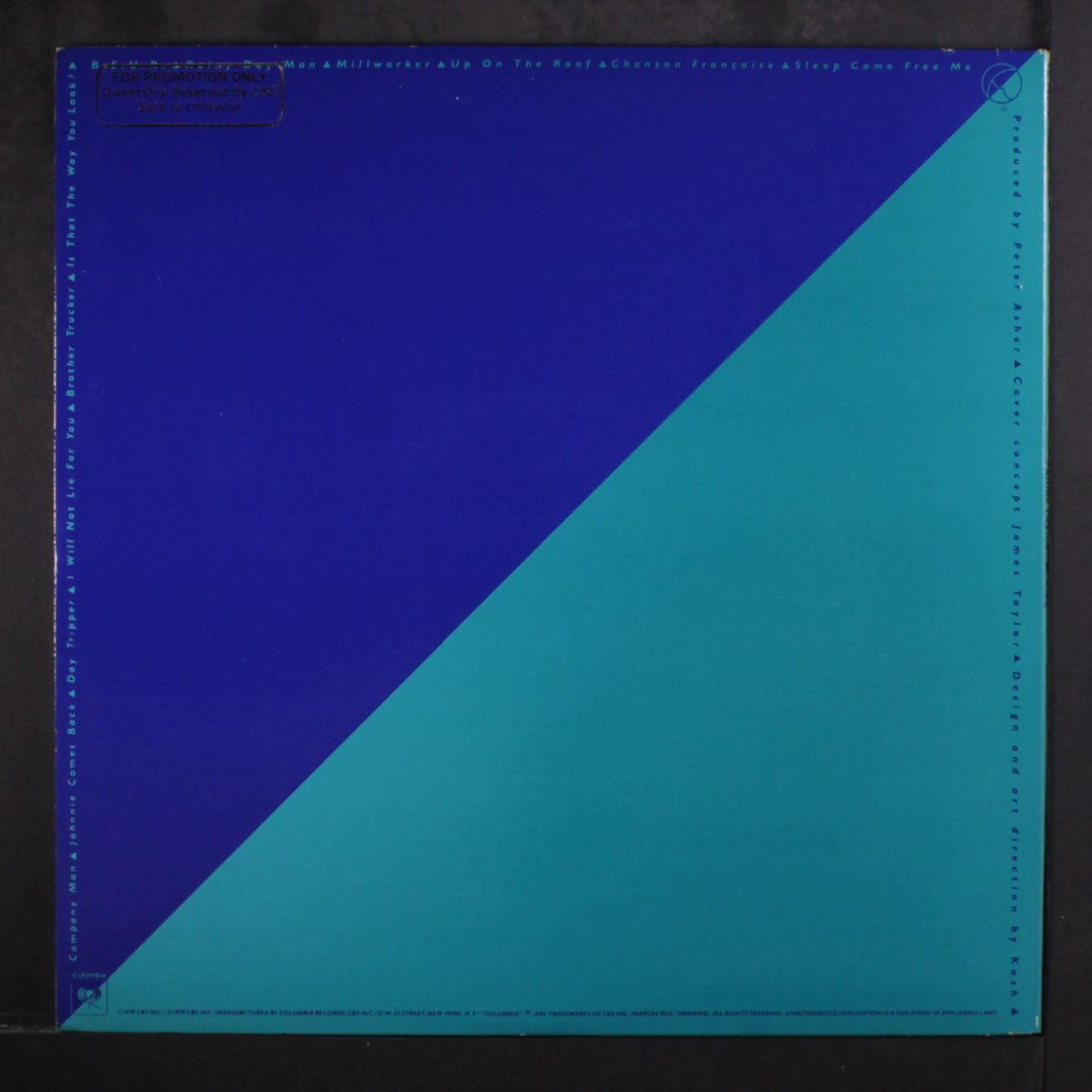 flag by JAMES TAYLOR