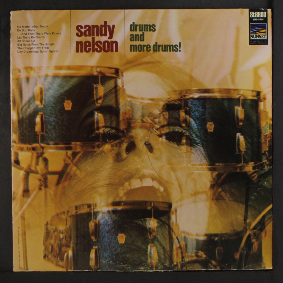 drums and more drums by SANDY NELSON