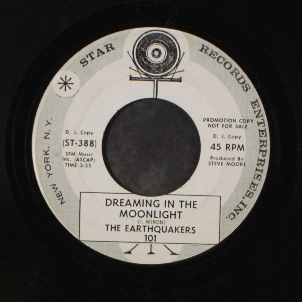dreaming in the moonlight / whistlin' in the sunshine by EARTHQUAKERS