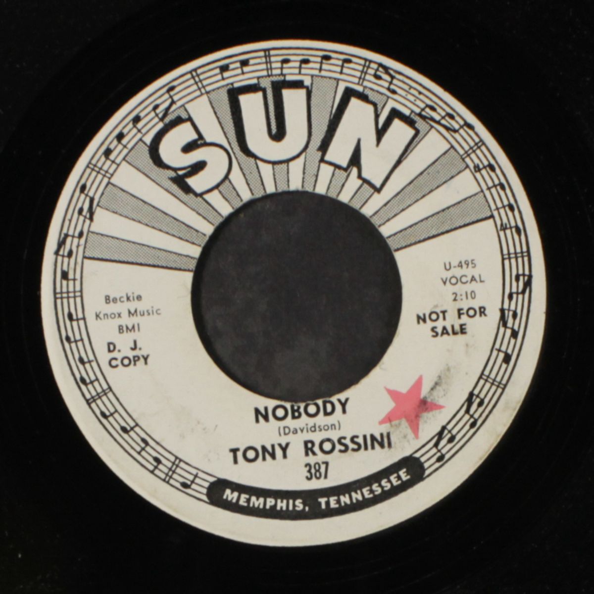 nobody / moved to kansas city by TONY ROSSINI