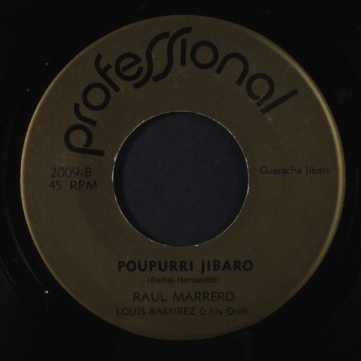 jamas lo vas a saber / poupurri jibaro by RAUL MARRERO