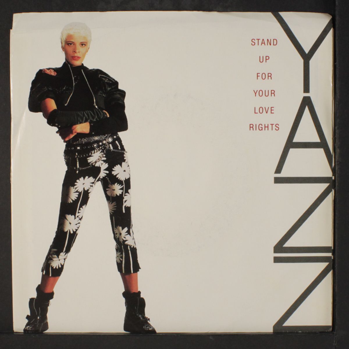 stand up for your love rights by YAZZ