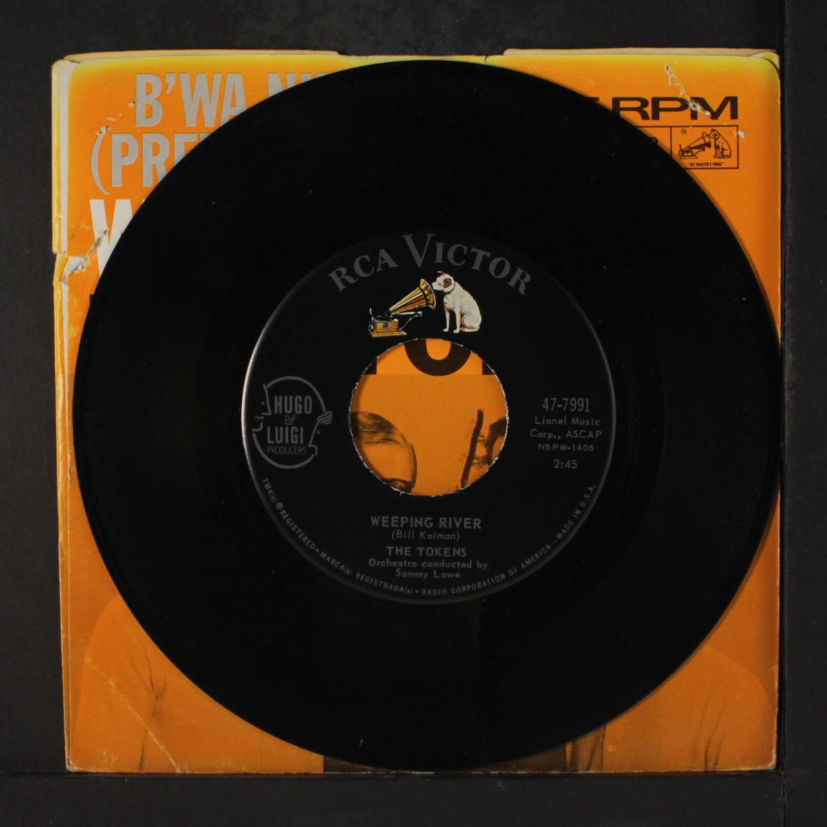 b'wa nina / weeping river by TOKENS