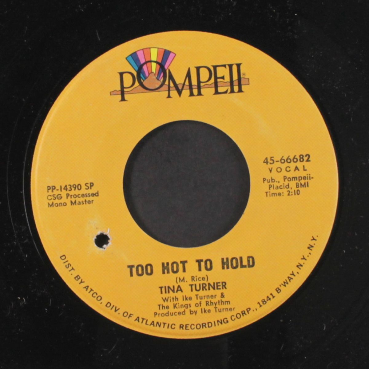 you got what you wanted / too hot to hold by TINA TURNER