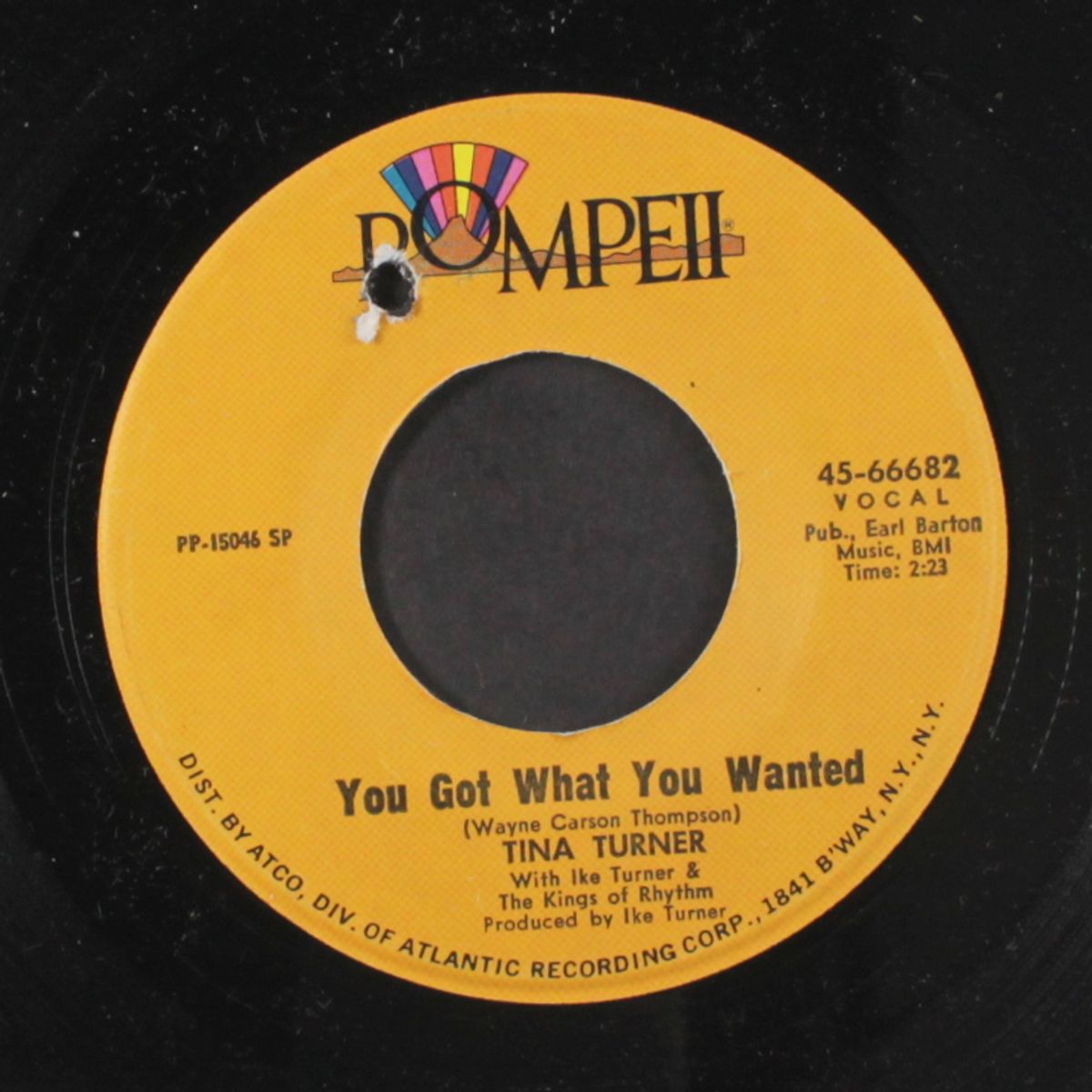 you got what you wanted / too hot to hold by TINA TURNER