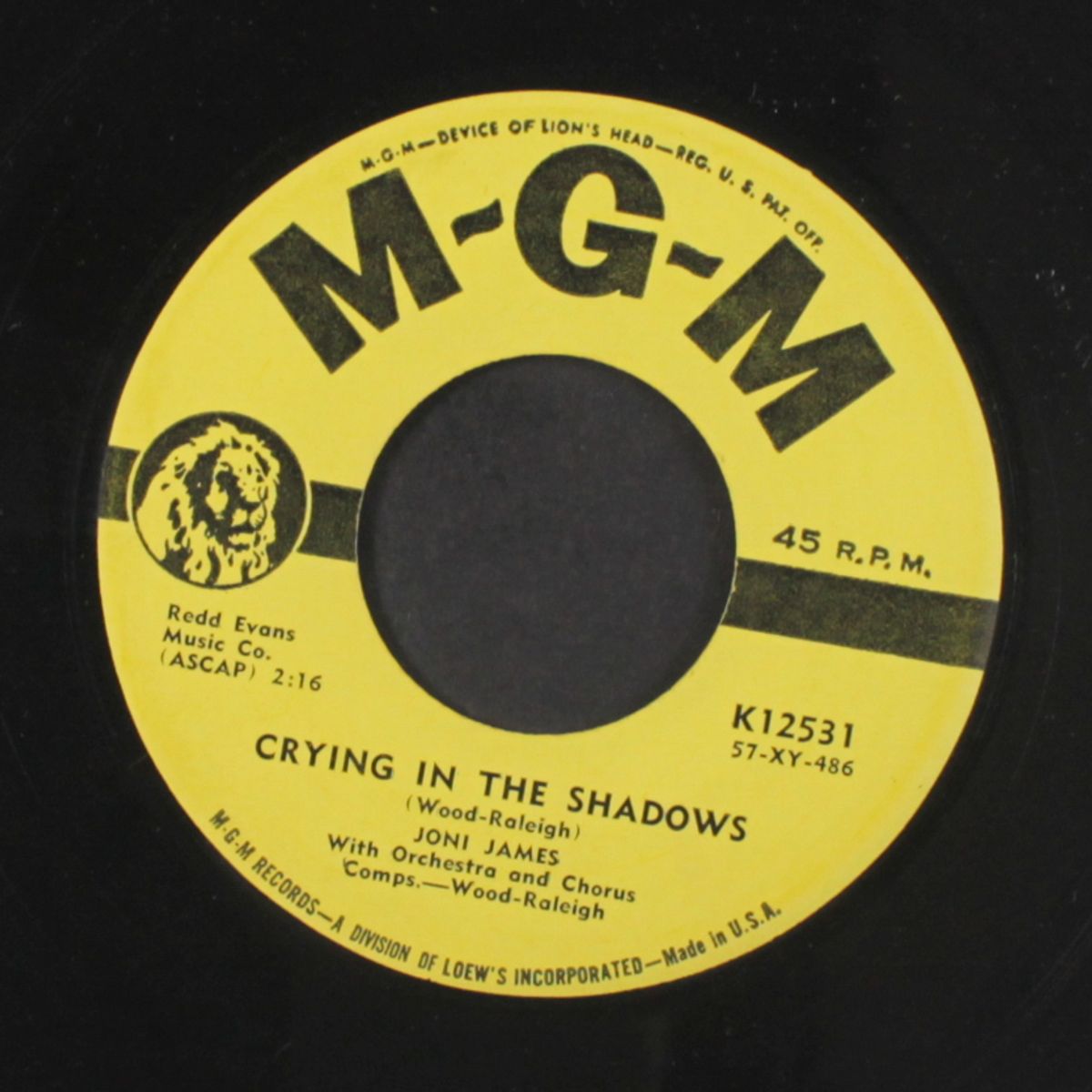 crying in the shadows by JONI JAMES