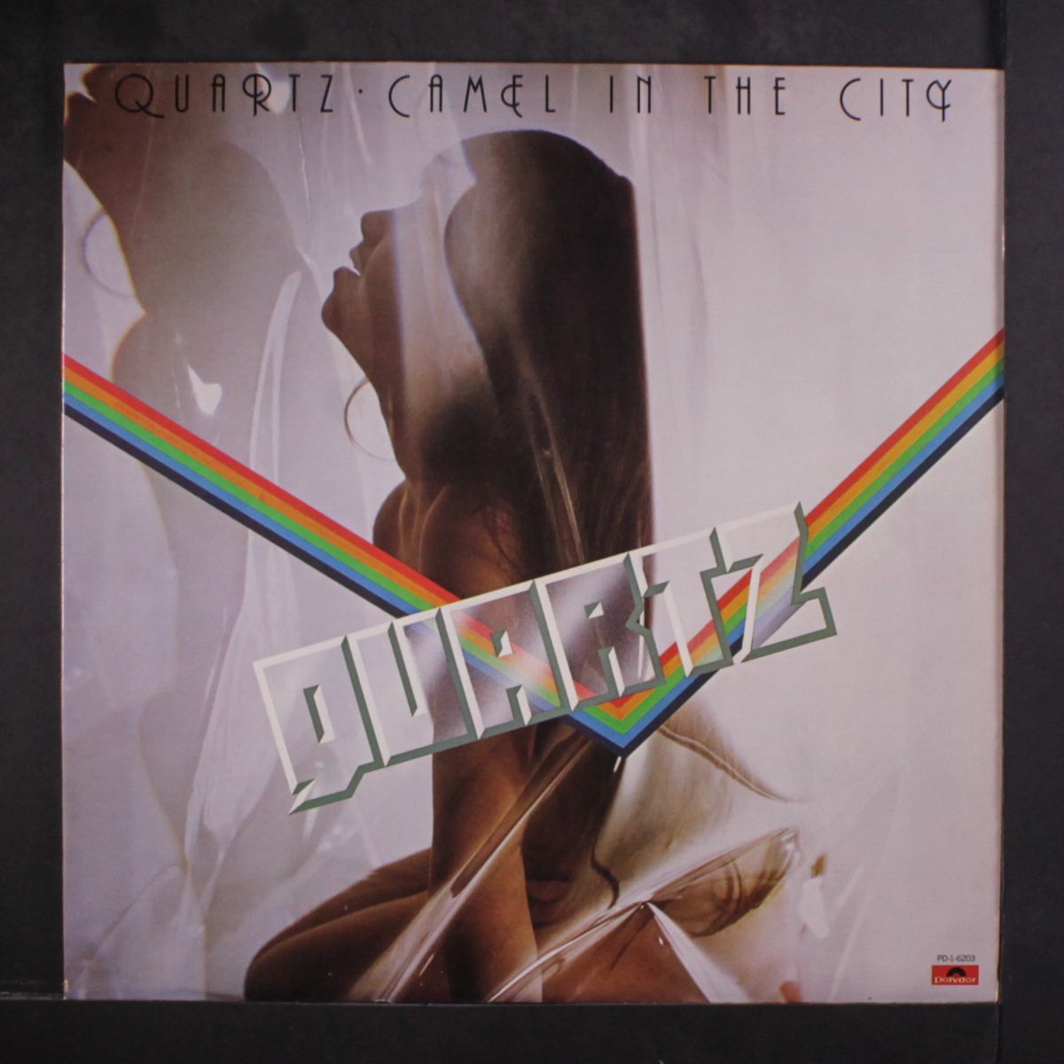 camel in the city by QUARTZ