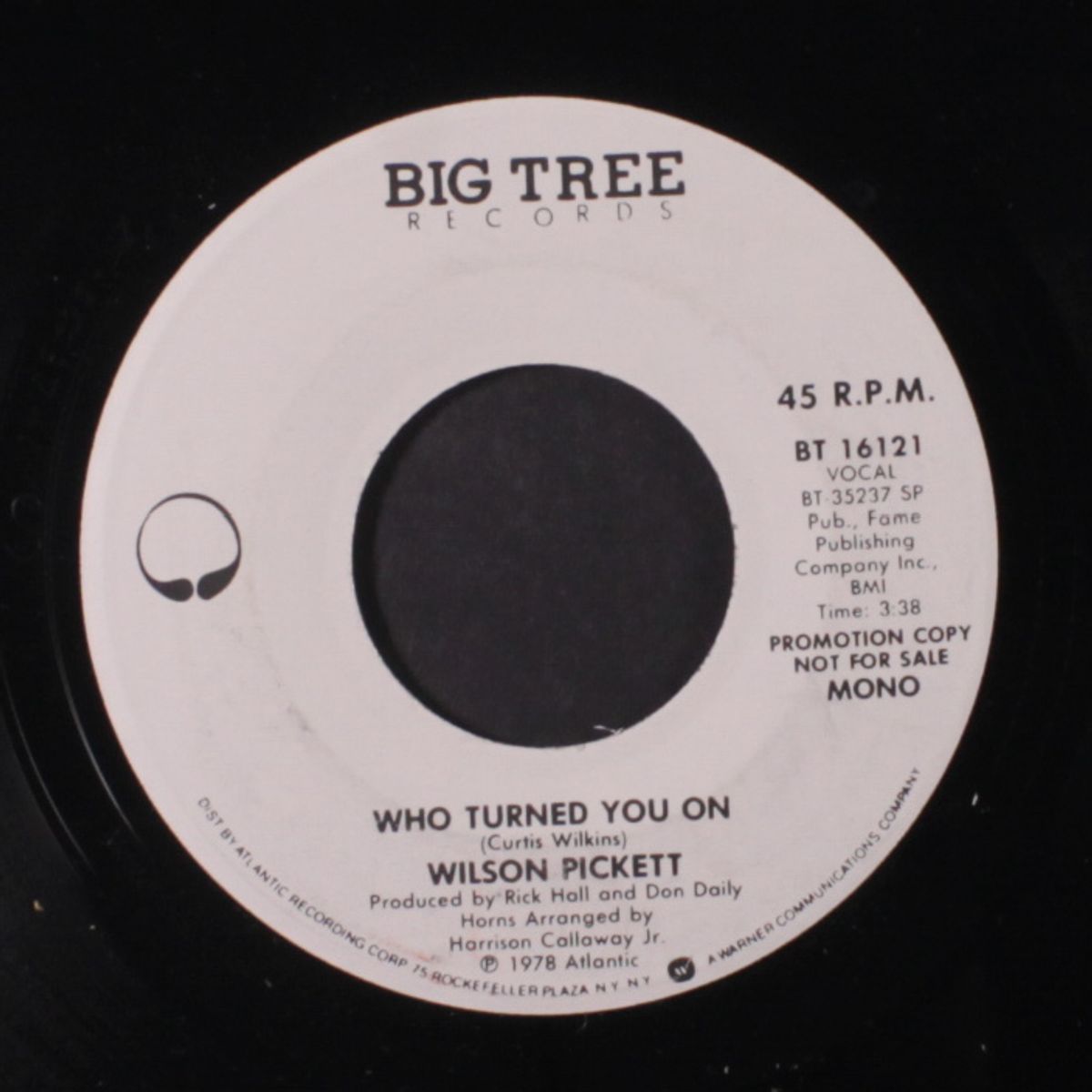 who turned you on / mono by WILSON PICKETT