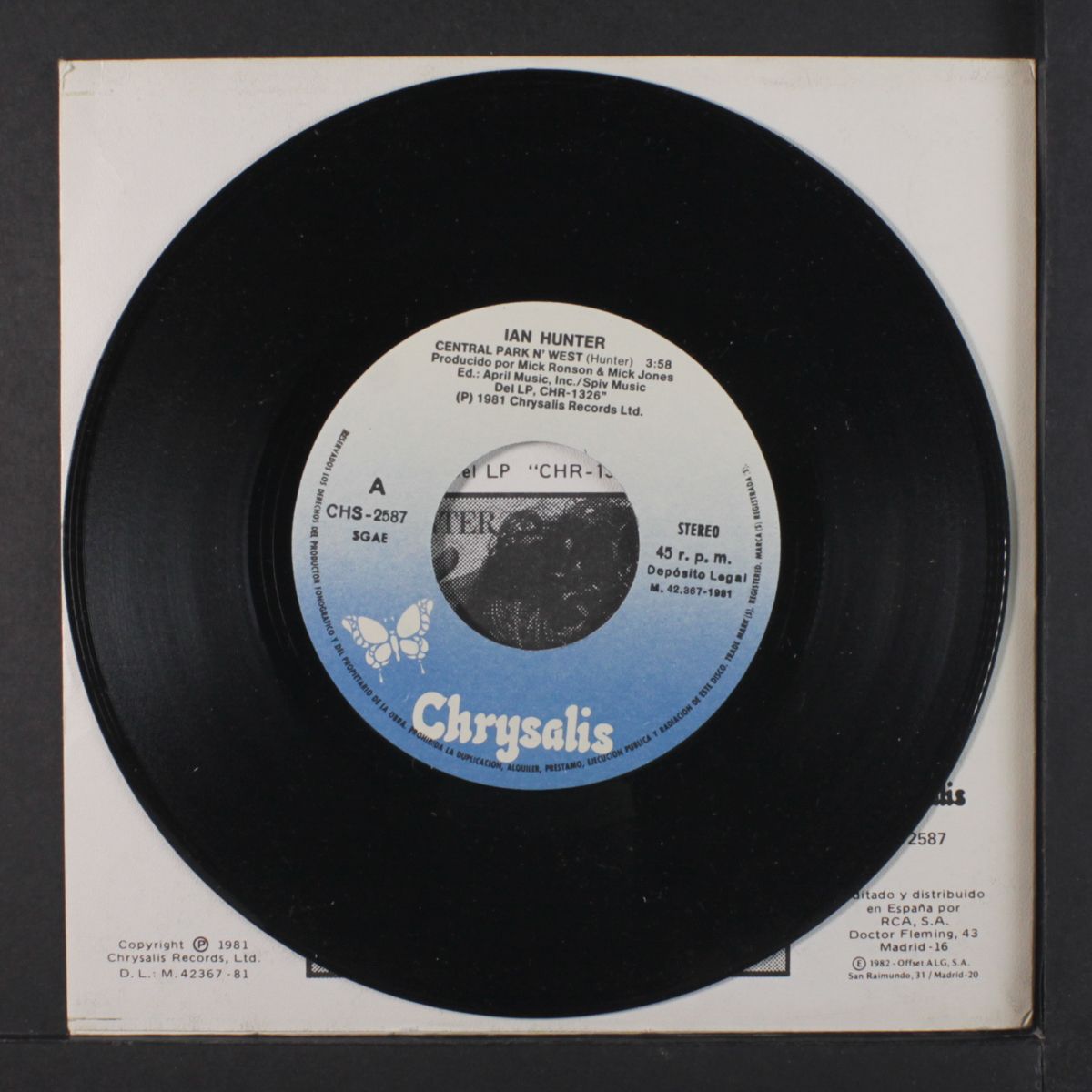 central park n' west / rain by IAN HUNTER
