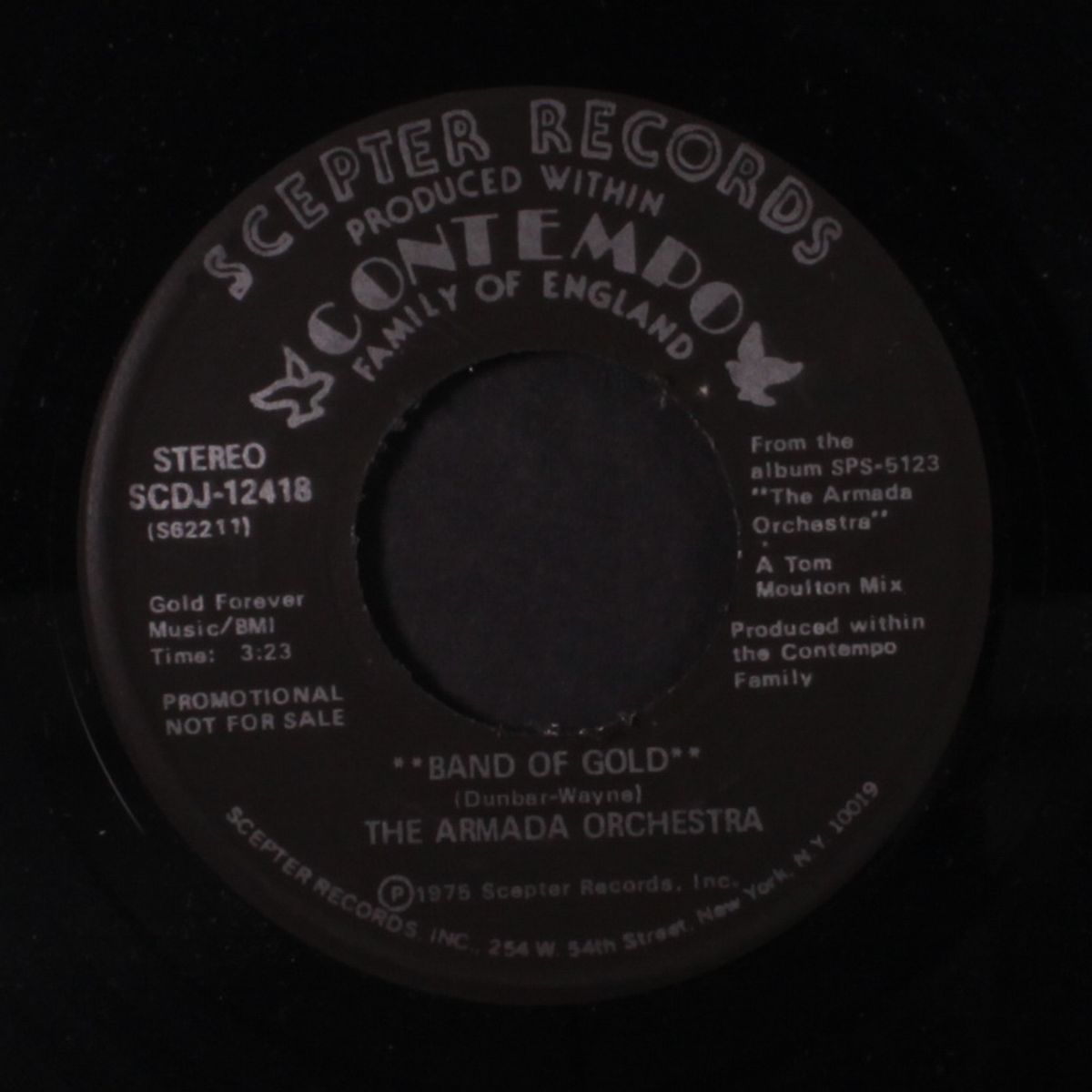 band of gold by ARMADA ORCHESTRA