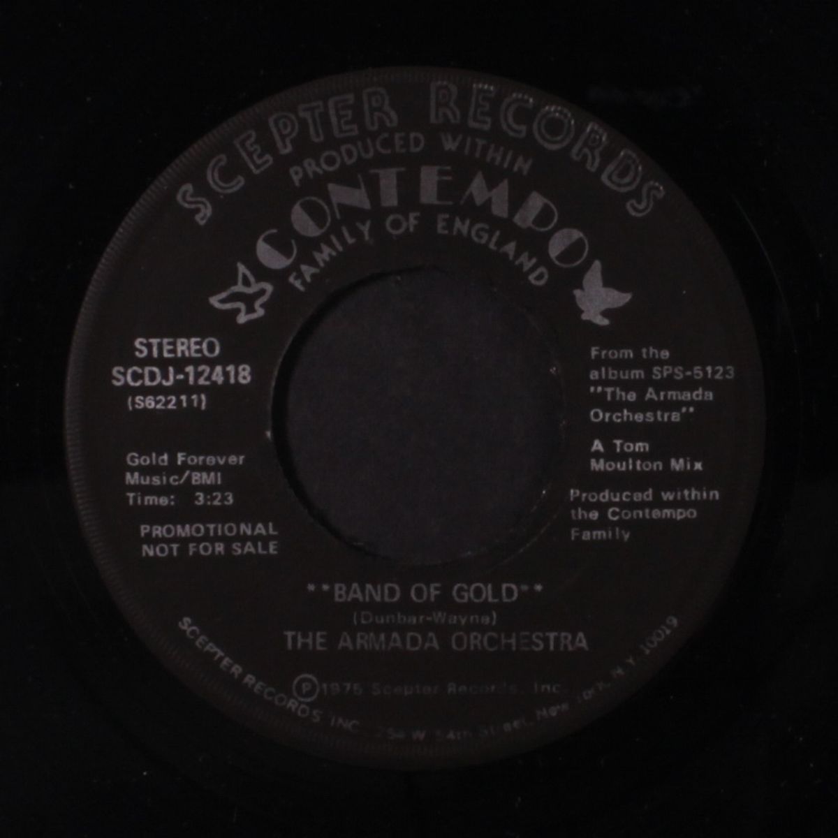 band of gold by ARMADA ORCHESTRA
