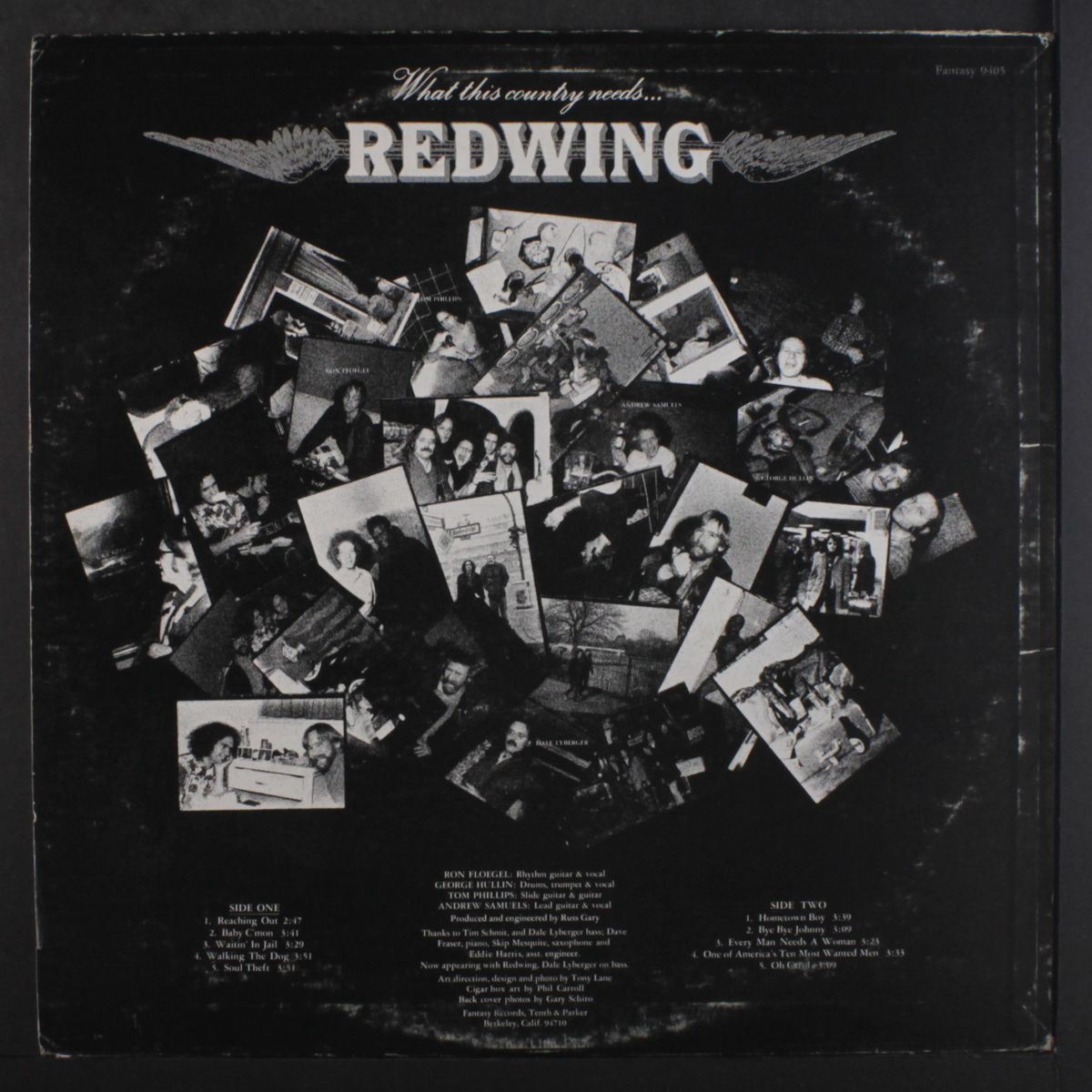 what this country needs by REDWING