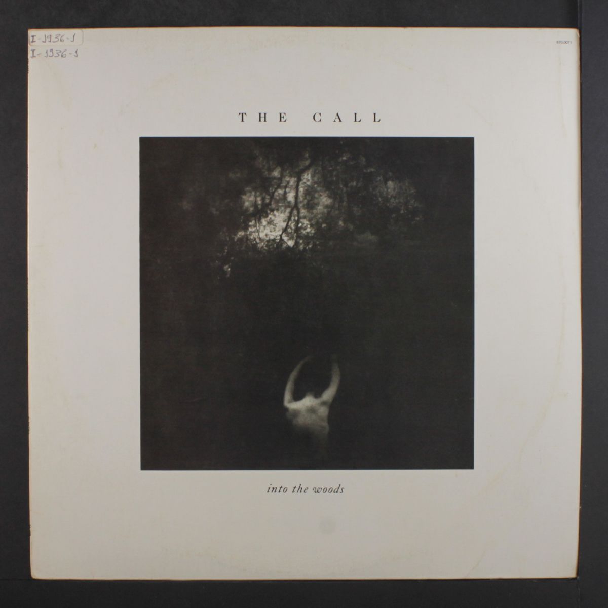 into the woods by CALL