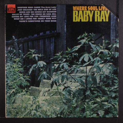 BABY RAY