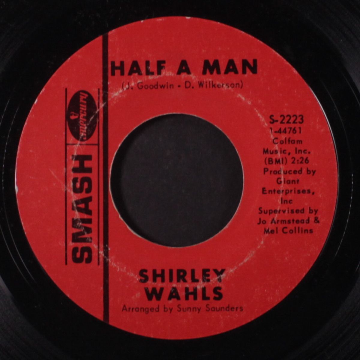 don't destroy me / half a man by SHIRLEY WAHLS