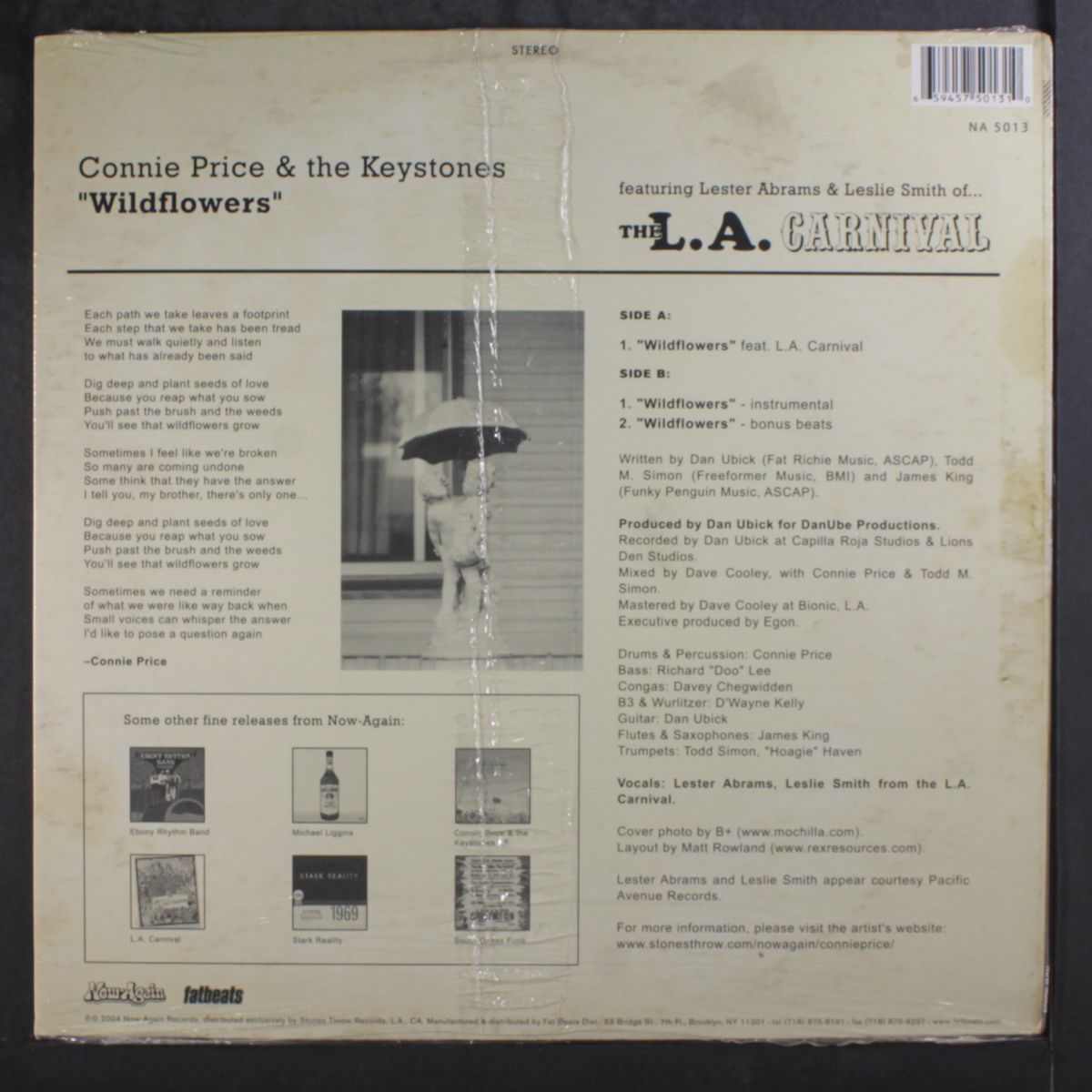 wildflowers by CONNIE PRICE & KEYSTONES