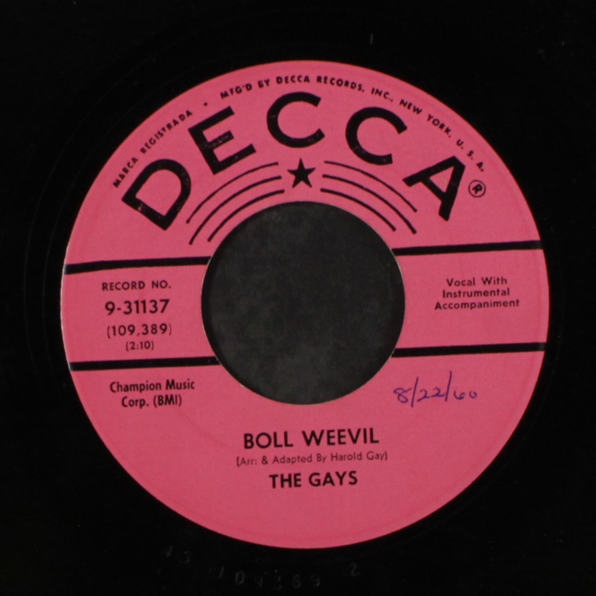 bool weevil by GAYS