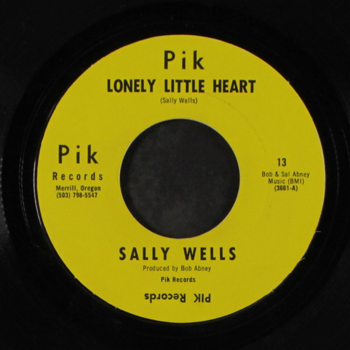 lonely little heart / 2nd place memories by SALLY WELLS