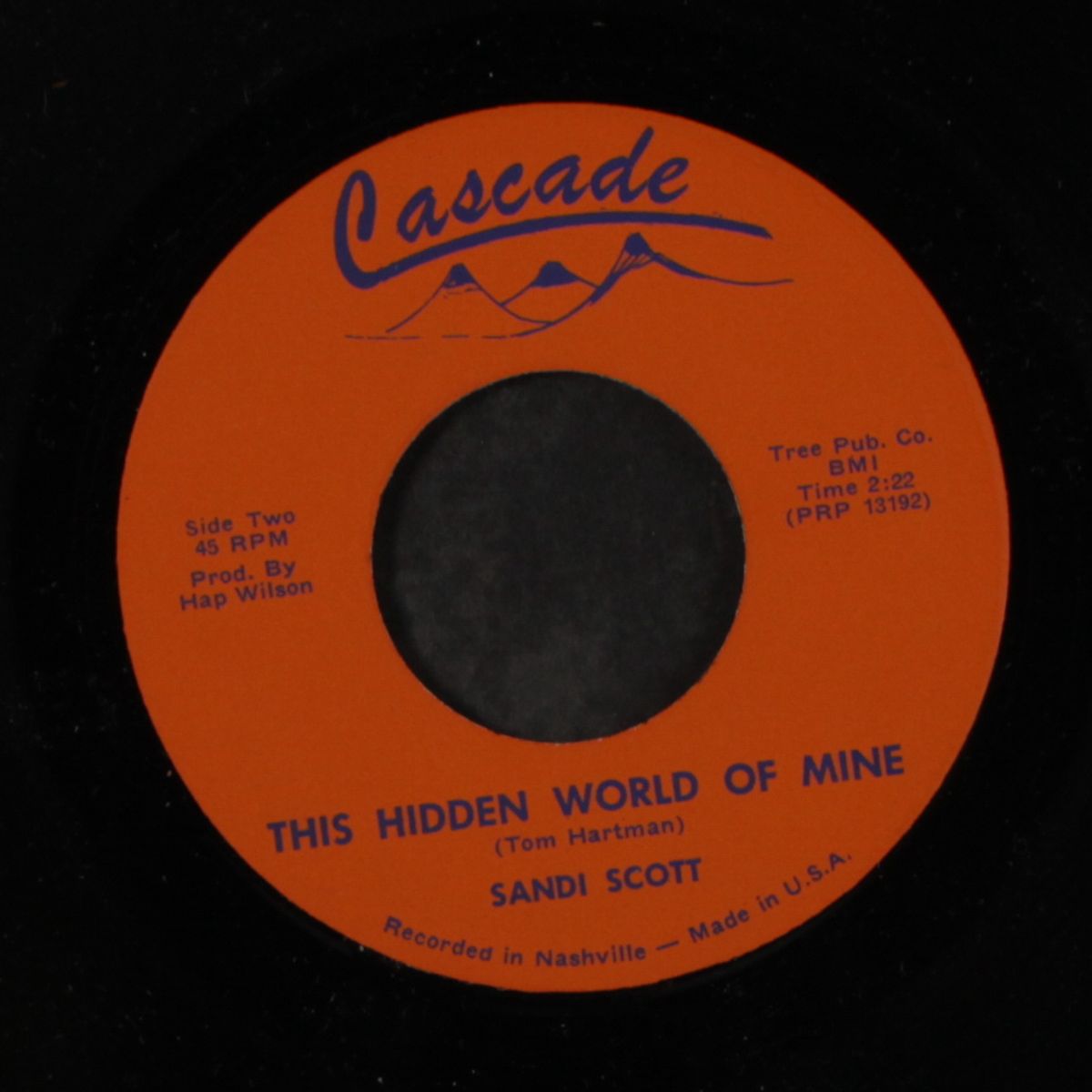 this hidden world of mine / medley by SANDI SCOTT