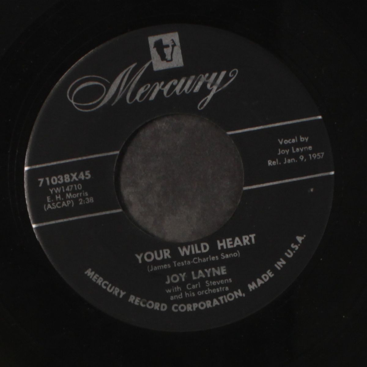 your wild heart / dum-dum by JOY LAYNE