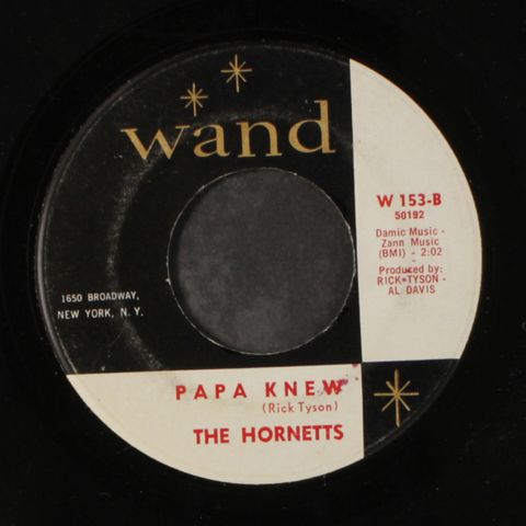 HORNETTS