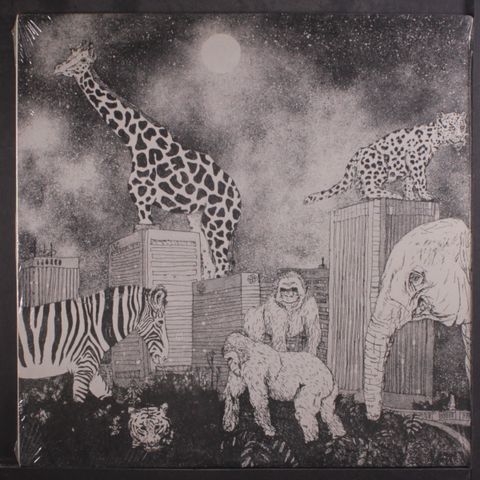 CASHMERE JUNGLE LORDS