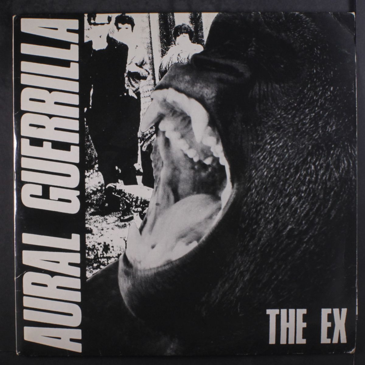 aural guerrilla by EX