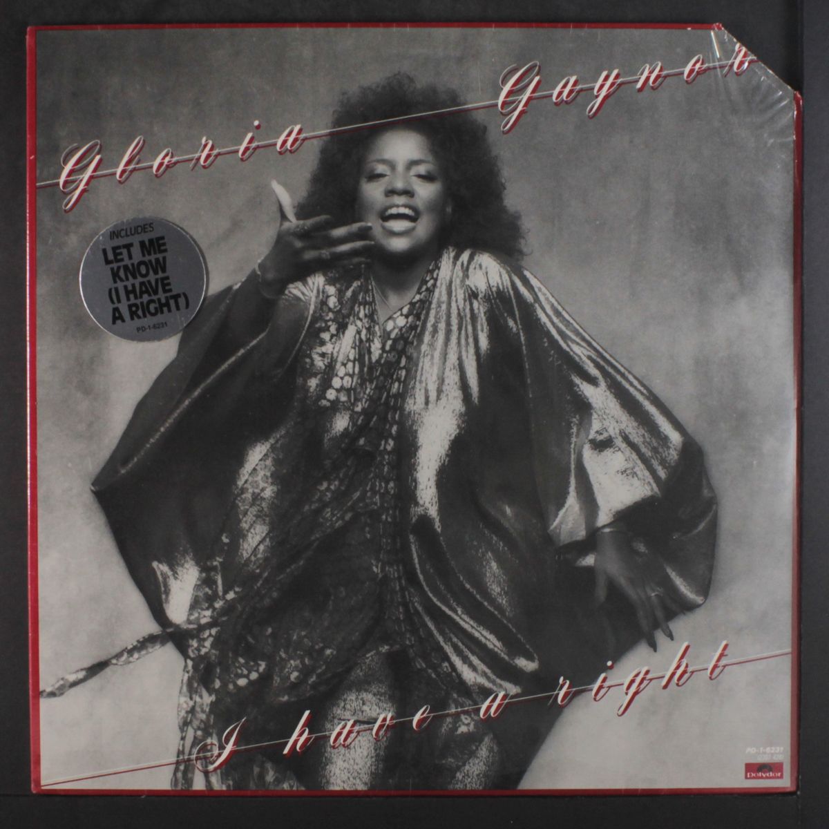 i have a right by GLORIA GAYNOR