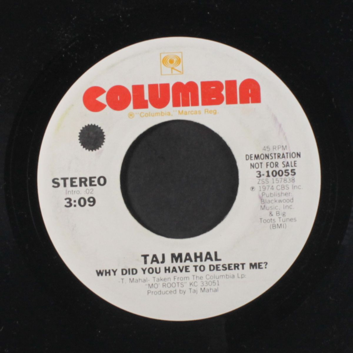 why did you have to desert me? / mono by TAJ MAHAL