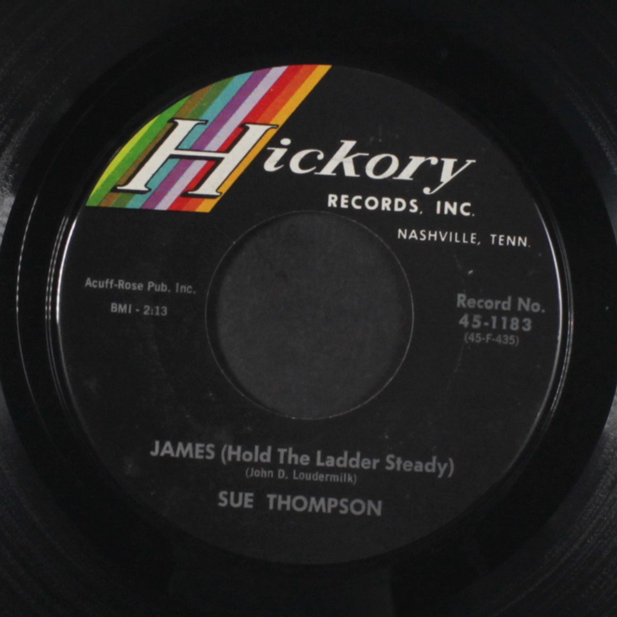 my hero / james (hold the ladder steady) by SUE THOMPSON