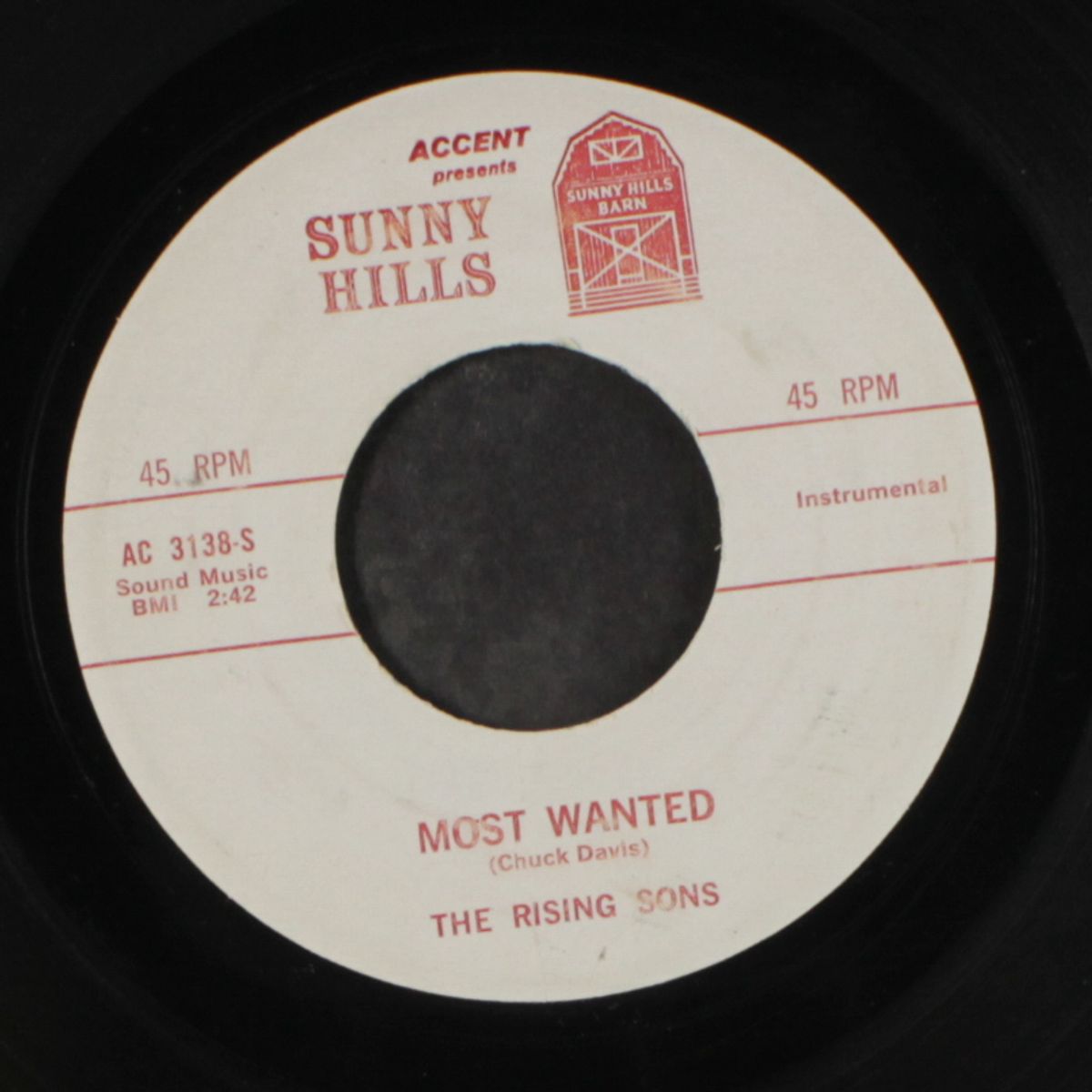 most wanted / chalet polka by RISING SONS