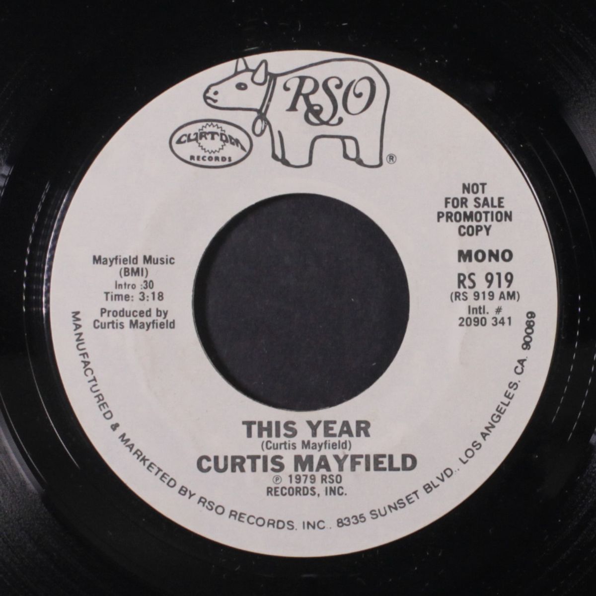 this year / mono by CURTIS MAYFIELD