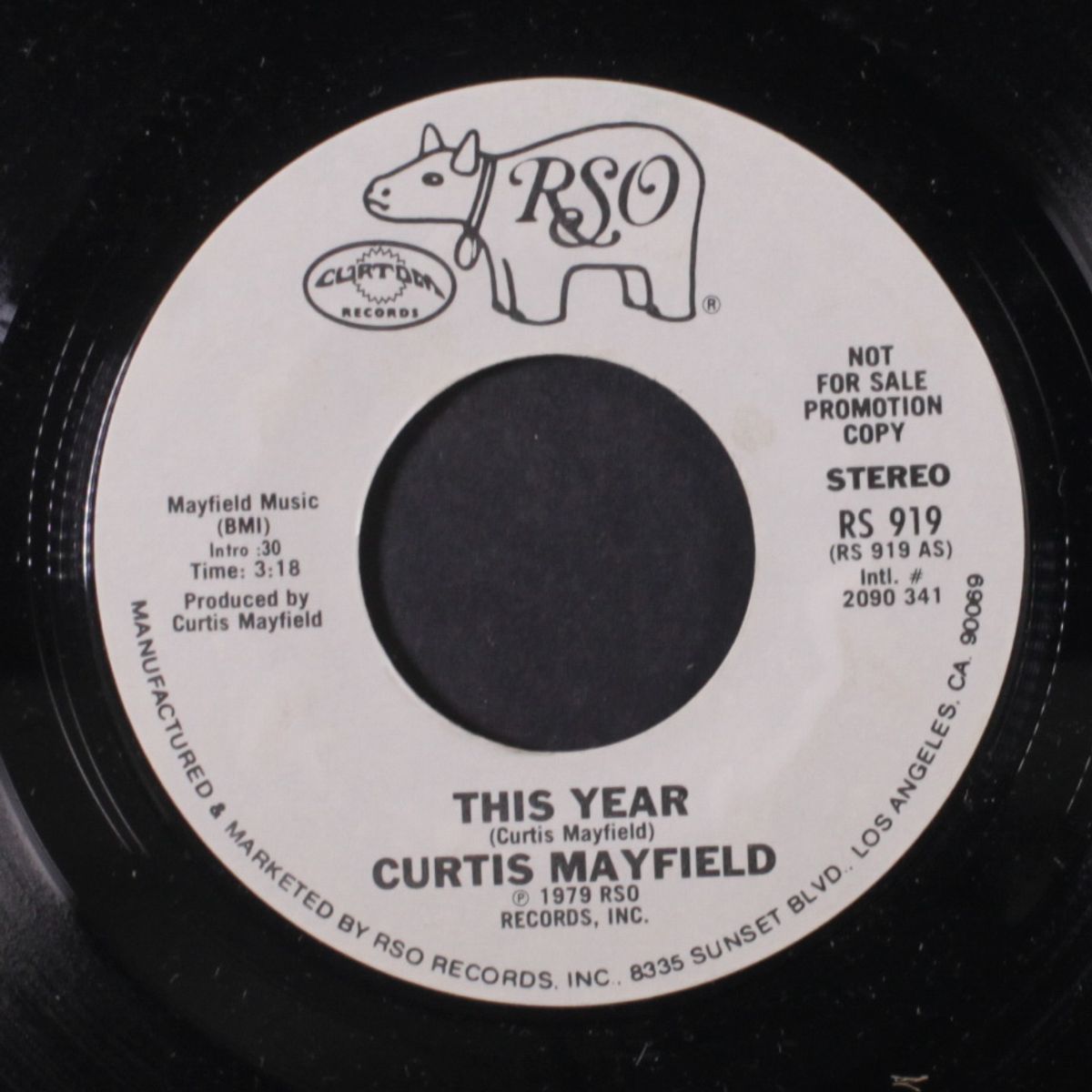 this year / mono by CURTIS MAYFIELD