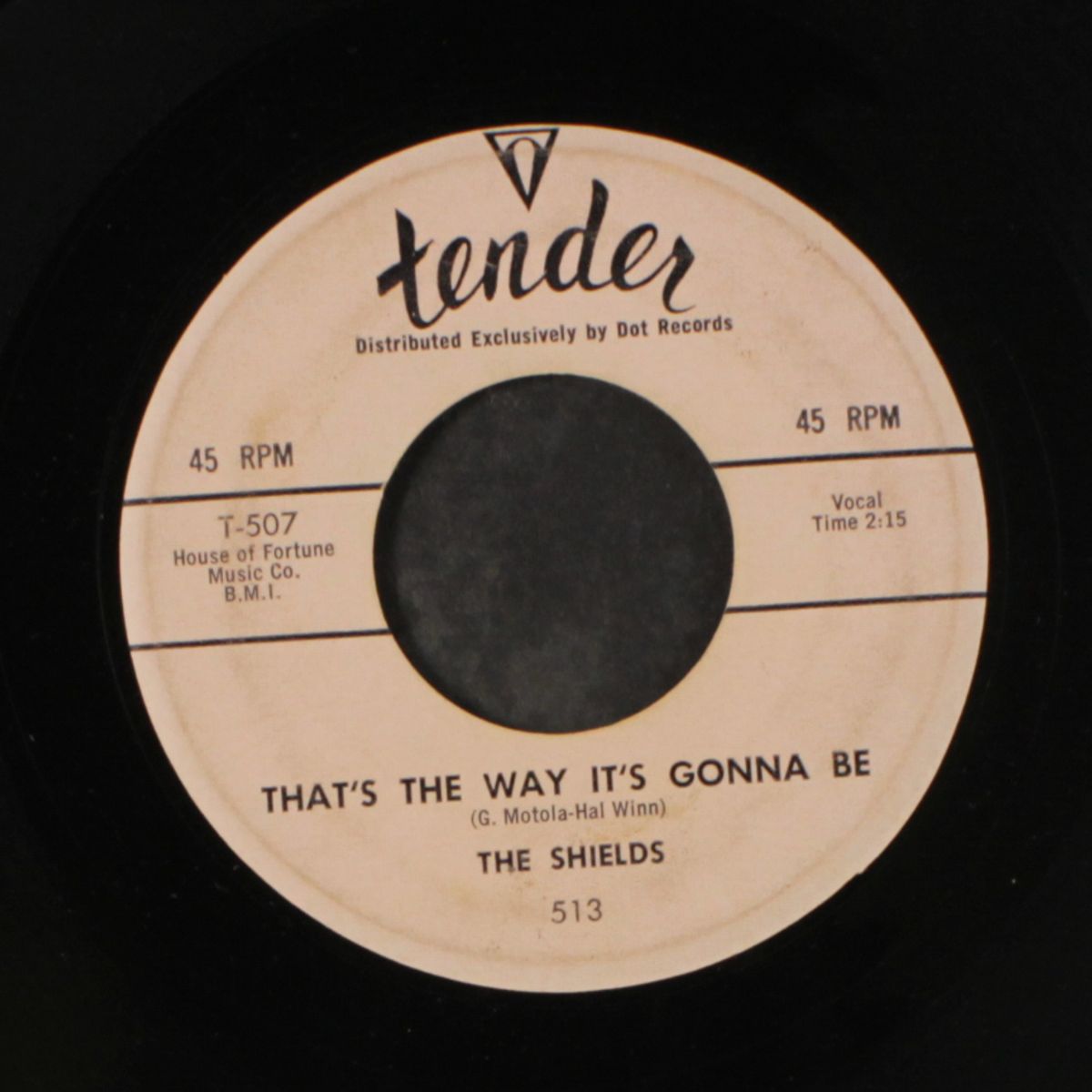 you cheated / that's the way it's gonna be by SHIELDS