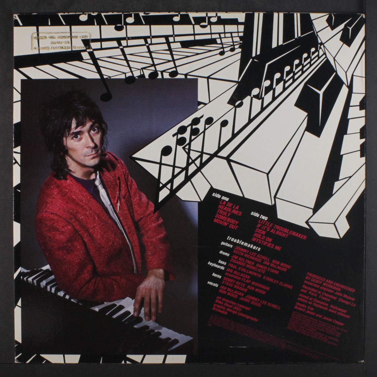 troublemaker by IAN MCLAGAN