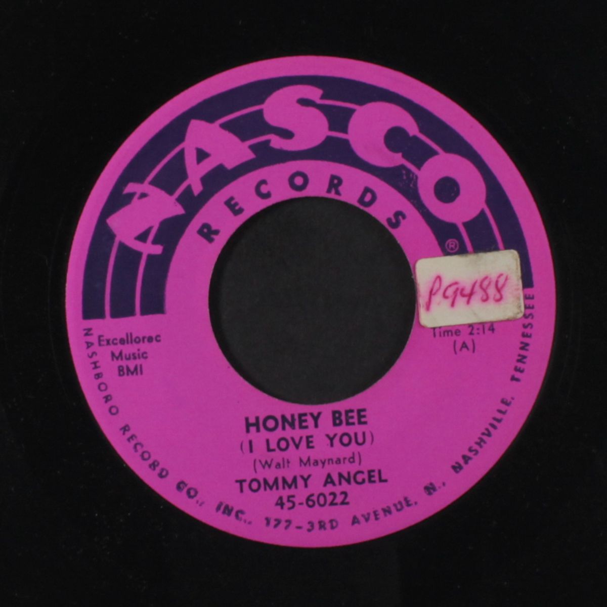 honey bee / black night by TOMMY ANGEL
