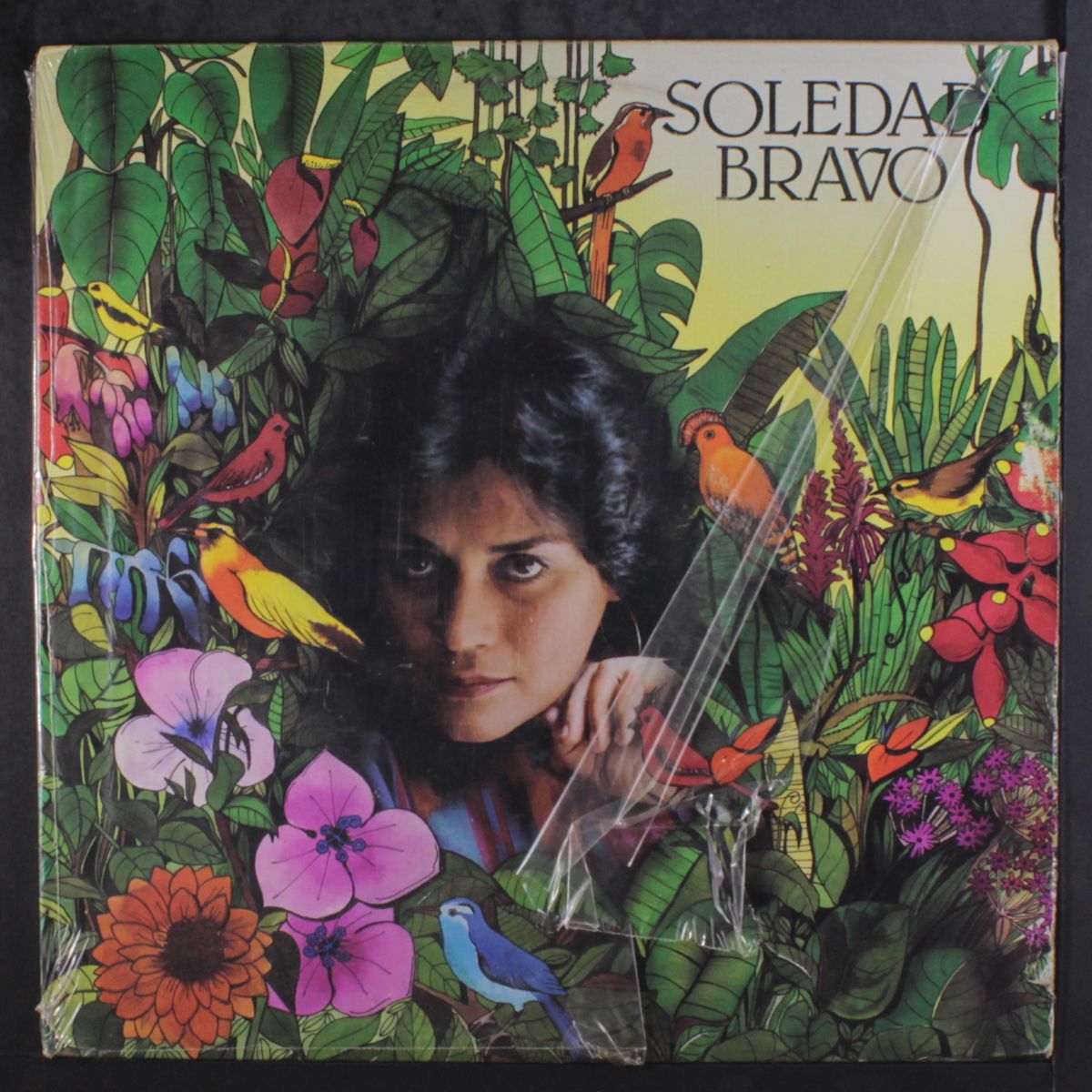 soledad bravo by SOLEDAD BRAVO