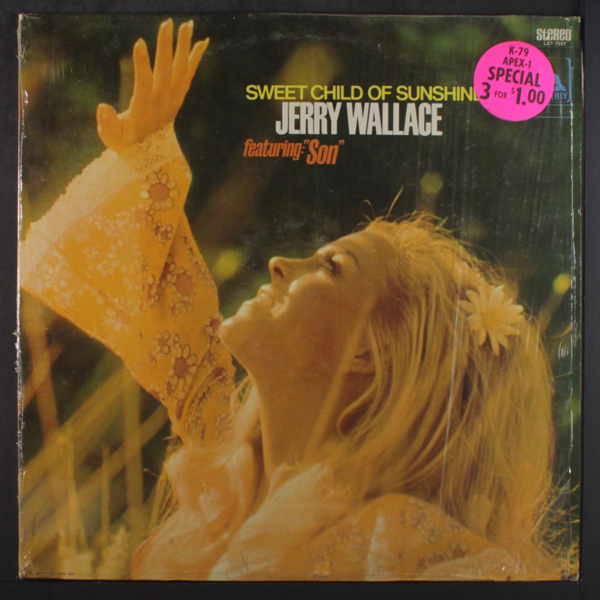 sweet child of sunshine by JERRY WALLACE