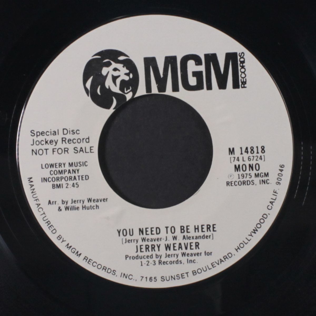 you need to be here / mono by JERRY WEAVER
