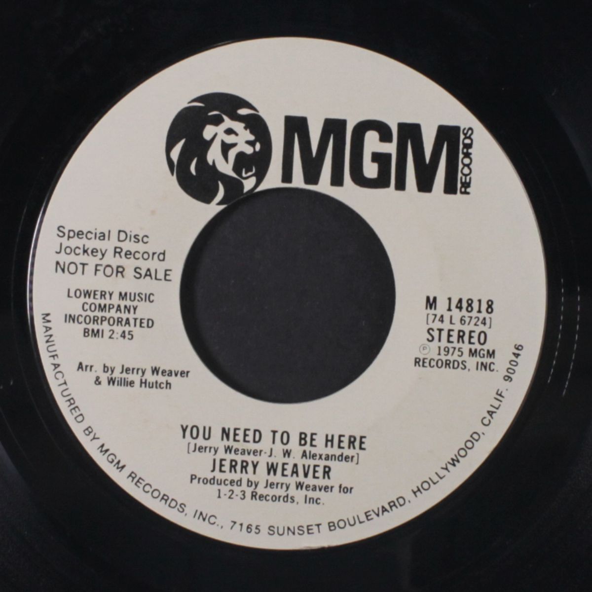 you need to be here / mono by JERRY WEAVER