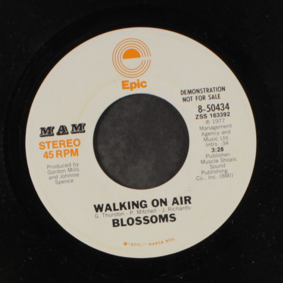 walking on air / mono by BLOSSOMS