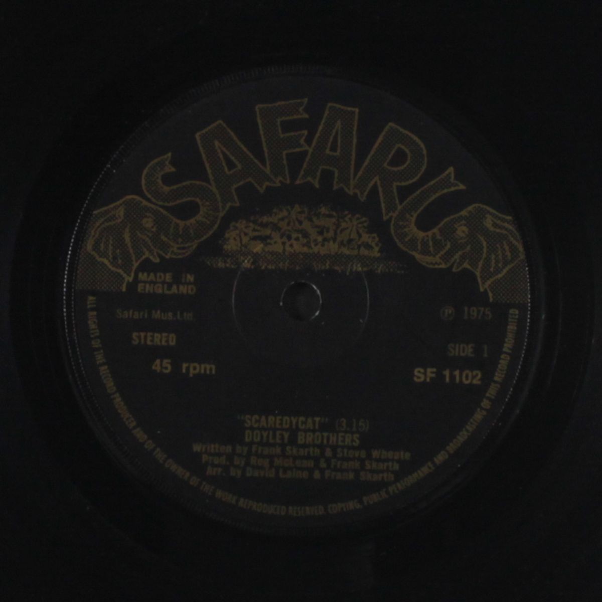 scaredycat / little smile by DOYLEY BROTHERS