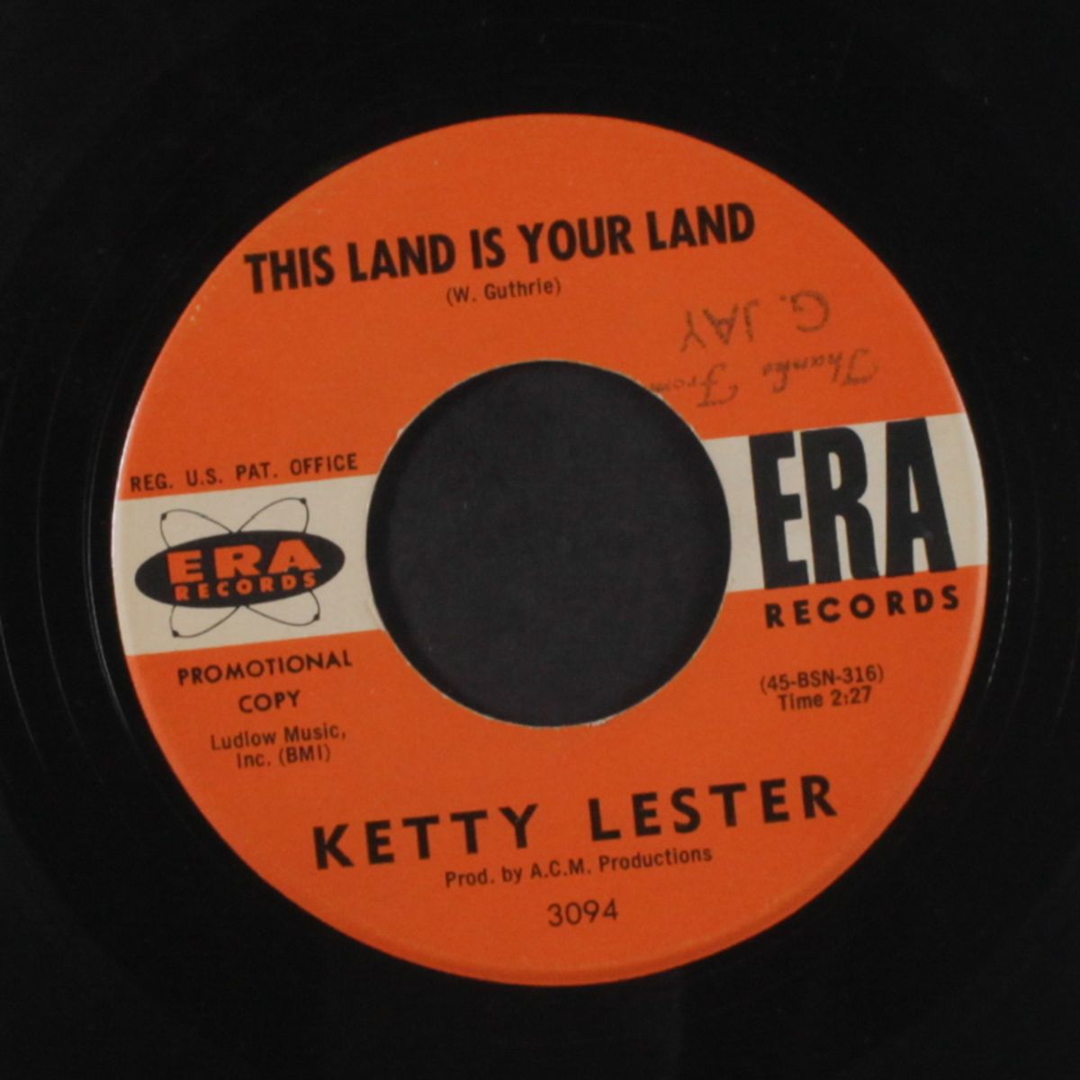 this land is your land / love is for everyone by KETTY LESTER